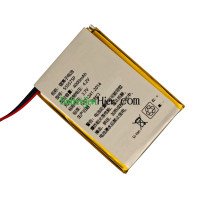 Vervangende batterij voor PLC 555575P