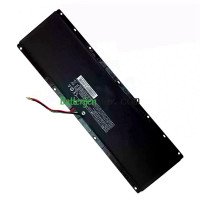 Vervangende batterij voor TF FSN-PUB2TF U410-I4010040G02