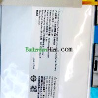 Vervangende batterij voor inkPadX PT2390135 SR9