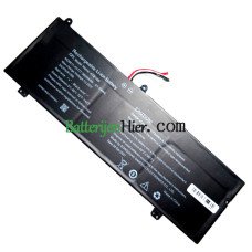 Vervangende batterij voor PDA 10Buckles-7Lines 419166