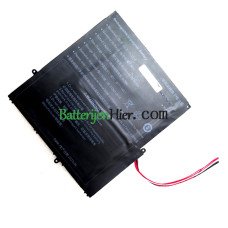 Vervangende batterij voor PDA 10Buckles-7Lines 4878145-2S1P
