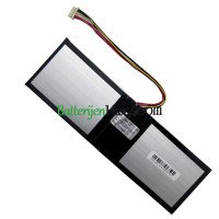 Vervangende batterij voor PDA 10Buckles-7Lines 5067103-2SP