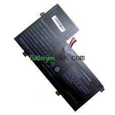Vervangende batterij voor PDA 10Buckles-8Lines 3770110-2S1P