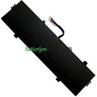 Vervangende batterij voor PDA 10Buckles-8Lines NV-4570125-2S