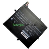 Vervangende batterij voor PDA 10Lines 2679125-2S1P