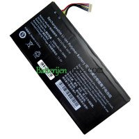 Vervangende batterij voor PDA 10Lines AEC317599-3S1P