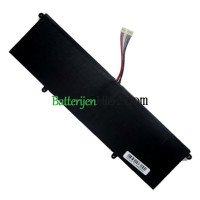 Vervangende batterij voor PDA 12Buckles-10Lines AEC5067126