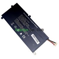 Vervangende batterij voor PDA 9Buckles-7Lines 536264-3S1P