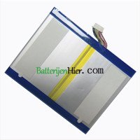 Vervangende batterij voor PDA TY36134103P