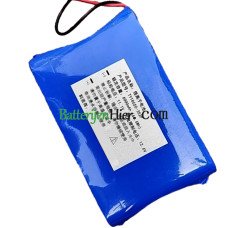 Vervangende batterij voor PLC TY18650-3S2P