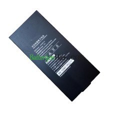  Batterijvervanging voor LARGE 41DZ003-10