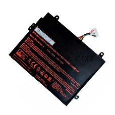 Vervangende batterij voor Clevo P970BAT-4
