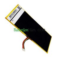 Vervangende batterij voor Barnes & Noble AVPB00 GB-S02-308594-0100 AVPB002-A110-01 BNTV600