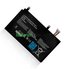 Vervangende batterij voor Gigabyte P57X GNS-I60 961TA010FA P35K P37X